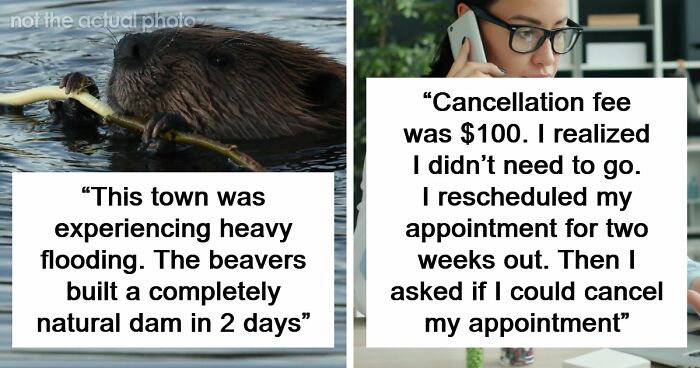 37 Times People Proved That “If It Works, It Ain’t Stupid” With These 37 Silly Solutions To Real Problems