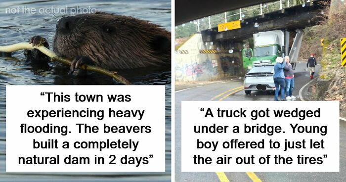 37 Times People Proved That “If It Works, It Ain’t Stupid” With These 37 Silly Solutions To Real Problems