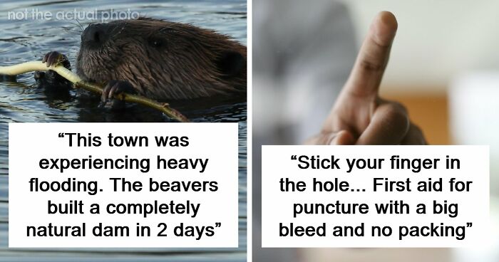 37 Times People Proved That “If It Works, It Ain’t Stupid” With These 37 Silly Solutions To Real Problems