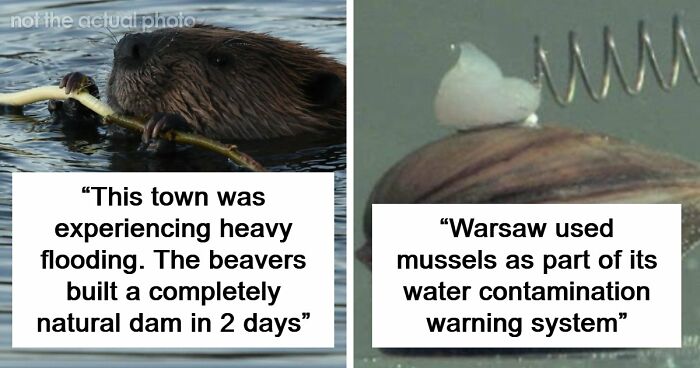 37 Times People Proved That “If It Works, It Ain’t Stupid” With These 37 Silly Solutions To Real Problems
