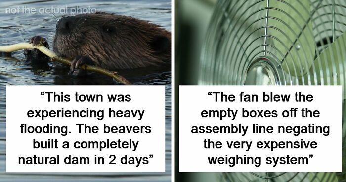 37 Times People Proved That “If It Works, It Ain’t Stupid” With These 37 Silly Solutions To Real Problems