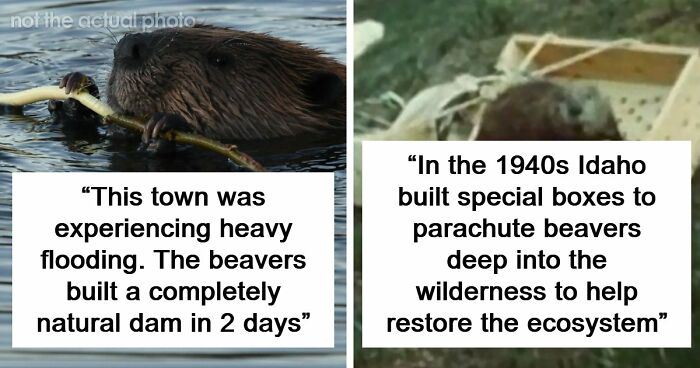 37 Times People Proved That “If It Works, It Ain’t Stupid” With These 37 Silly Solutions To Real Problems