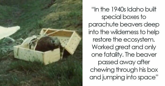 37 Times People Proved That “If It Works, It Ain’t Stupid” With These 37 Silly Solutions To Real Problems