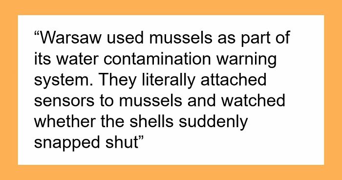 37 Times People Proved That “If It Works, It Ain’t Stupid” With These 37 Silly Solutions To Real Problems