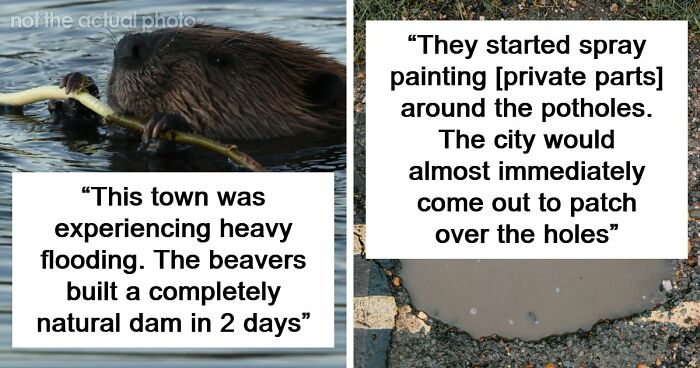 37 Times People Proved That “If It Works, It Ain’t Stupid” With These 37 Silly Solutions To Real Problems