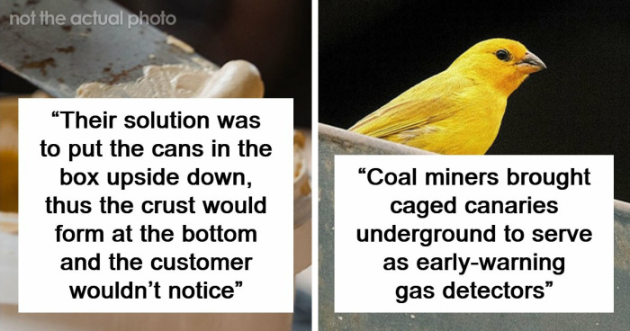 44 Times People Solved Serious Problems With The Most Unserious Solutions