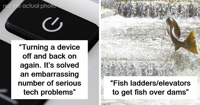 44 Times People Solved Serious Problems With The Most Unserious Solutions