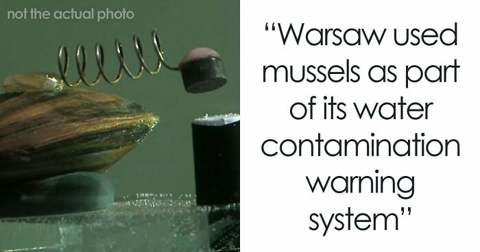 44 Times People Solved Serious Problems With The Most Unserious Solutions