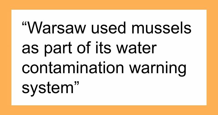 44 Times People Solved Serious Problems With The Most Unserious Solutions