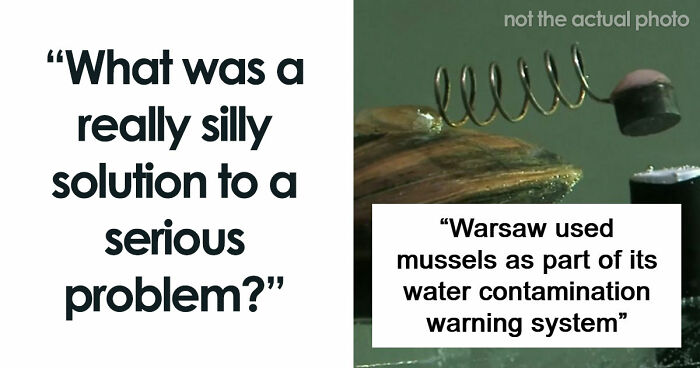 44 Times People Solved Serious Problems With The Most Unserious Solutions