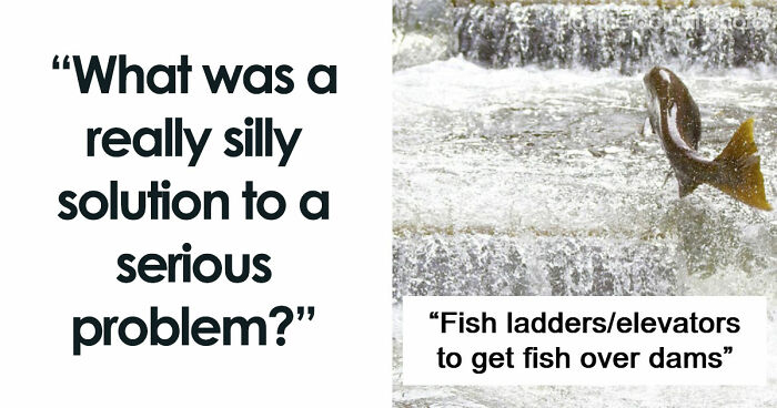 44 Times People Solved Serious Problems With The Most Unserious Solutions