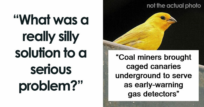 44 Times People Solved Serious Problems With The Most Unserious Solutions