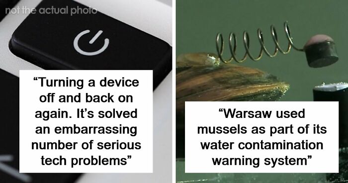 44 Times People Solved Serious Problems With The Most Unserious Solutions