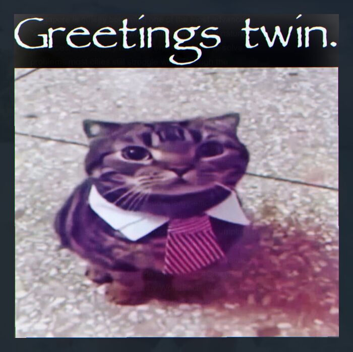 Cat wearing shirt and tie meme with greetings twin text