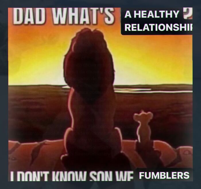 Cartoon lions at sunset with healthy relationship meme text