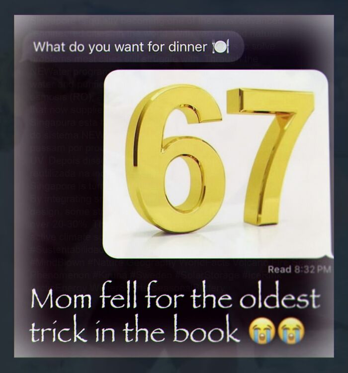 Cringe post tricking mom with number 67 dinner meme