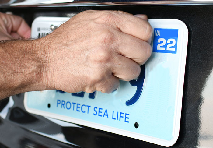 Hand applying a smooth criminal style license plate with Protect Sea Life text