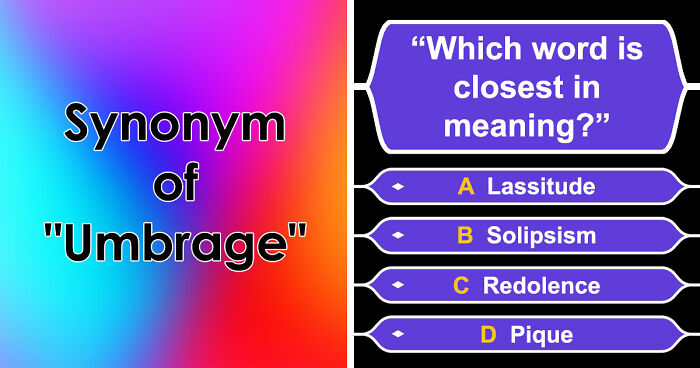“How Academic Are You?”: 25 Smart English Words That Only Advanced Speakers Know