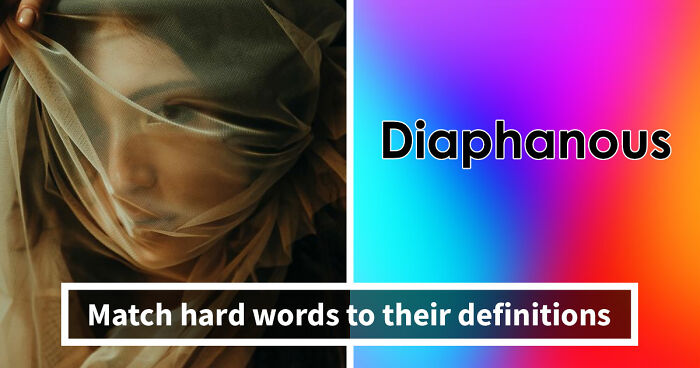 “How Academic Are You?”: 25 Smart English Words That Only Advanced Speakers Know