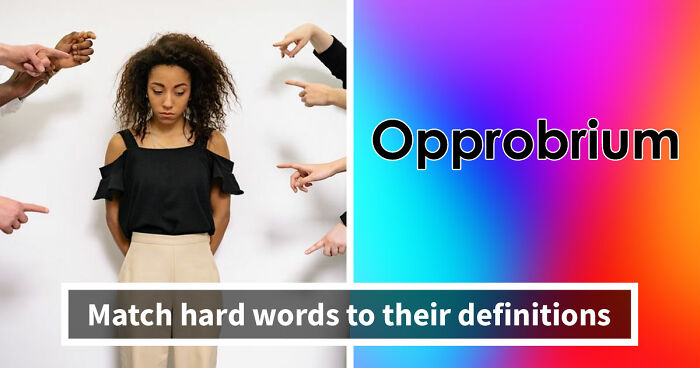 “How Academic Are You?”: 25 Smart English Words That Only Advanced Speakers Know