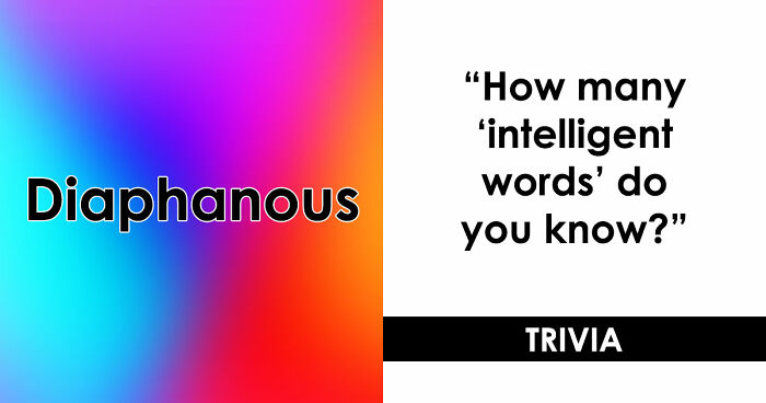 “How Academic Are You?”: 25 Smart English Words That Only Advanced Speakers Know