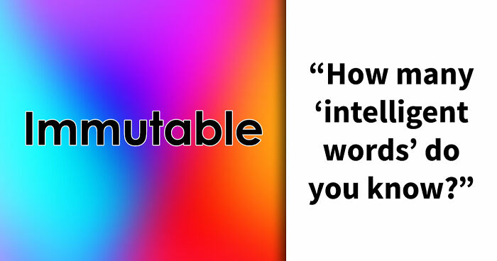 “How Academic Are You?”: 25 Smart English Words That Only Advanced Speakers Know