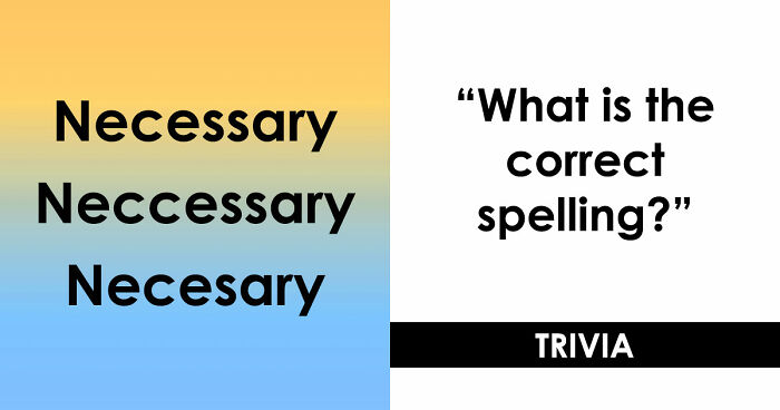 “Is It ‘Definitely’ Or ‘Definately’?”: Test Your English Skills With 19 Spelling Questions