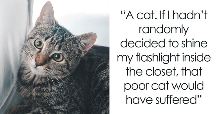 “$14,000 Behind The Toilet”: 70 Times People Bought A House And Ended Up With Unexpected Surprises Inside