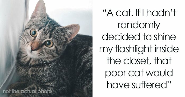 “$14,000 Behind The Toilet”: 70 Times People Bought A House And Ended Up With Unexpected Surprises Inside