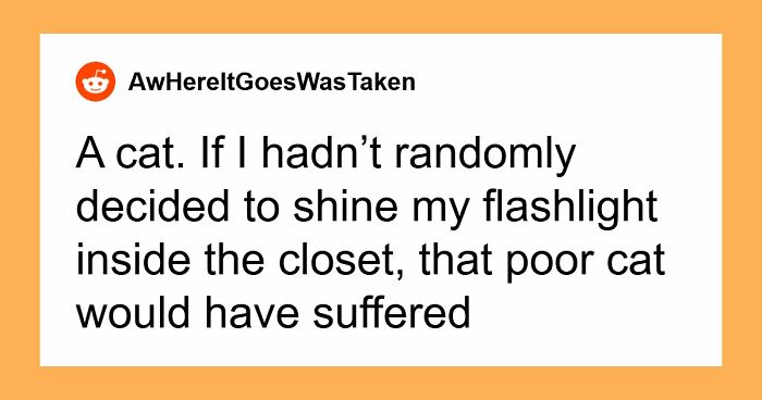 “$14,000 Behind The Toilet”: 70 Times People Bought A House And Ended Up With Unexpected Surprises Inside