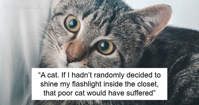 “$14,000 Behind The Toilet”: 70 Times People Bought A House And Ended Up With Unexpected Surprises Inside