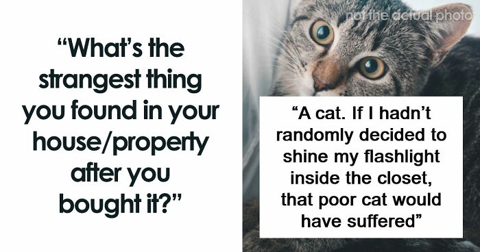 “$14,000 Behind The Toilet”: 70 Times People Bought A House And Ended Up With Unexpected Surprises Inside