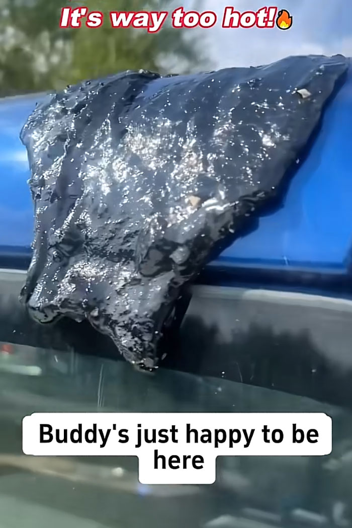 Melted black material on a blue car, showing the extreme heatwave affecting Europeans.