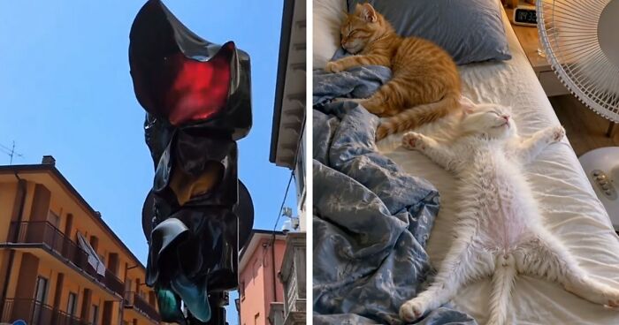 35 Photos Of Europeans Trying To Survive The Heatwave Without Fully Melting