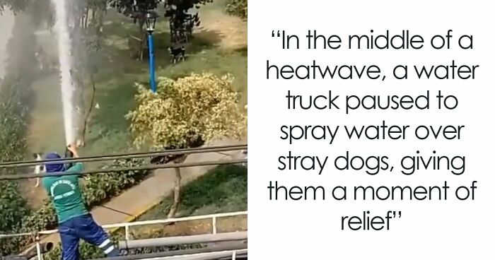 35 Photos Of Europeans Trying To Survive The Heatwave Without Fully Melting