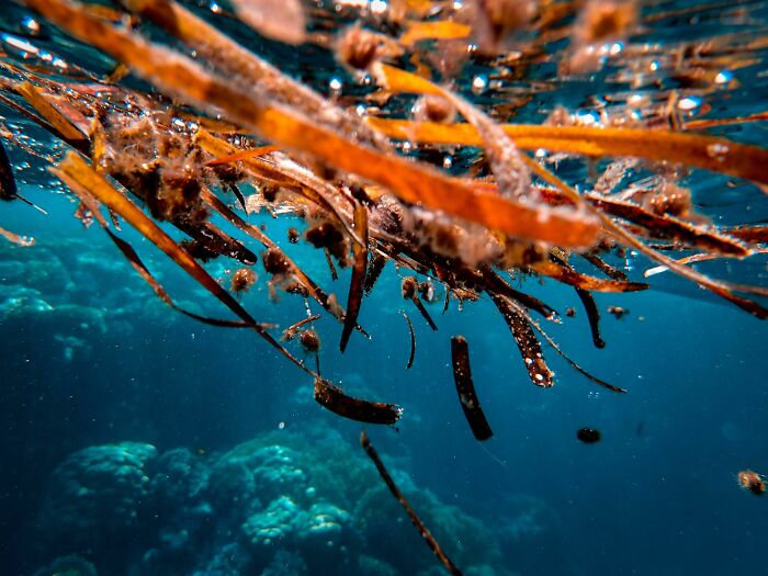 Underwater debris symbolizing environmental impact in AI-caused great depression