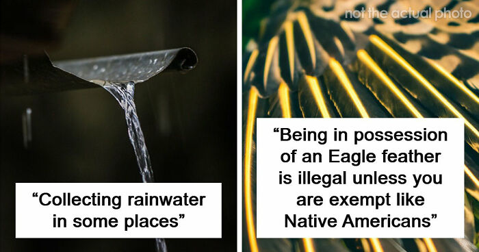 If You Did Any Of These 60 Things, You Have Committed A Legal Offense Somewhere In The World