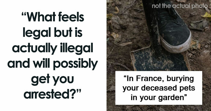 If You Did Any Of These 60 Things, You Have Committed A Legal Offense Somewhere In The World