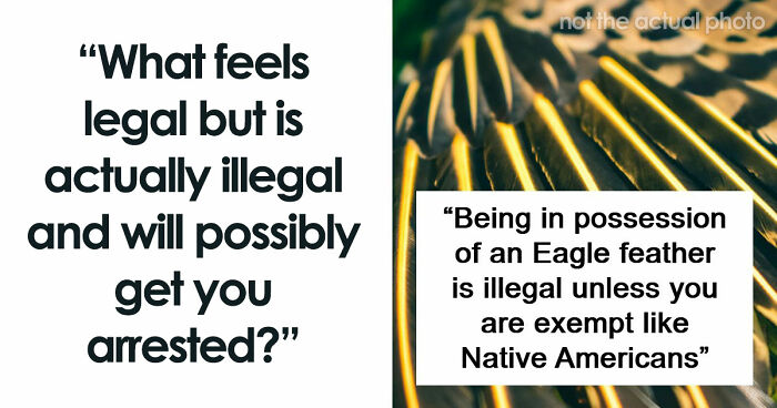 If You Did Any Of These 60 Things, You Have Committed A Legal Offense Somewhere In The World