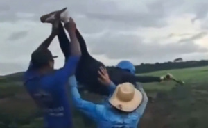Brazilian Woman Loses Her Life In Rope Jump Disaster After Staff Make Critical Error During Attraction