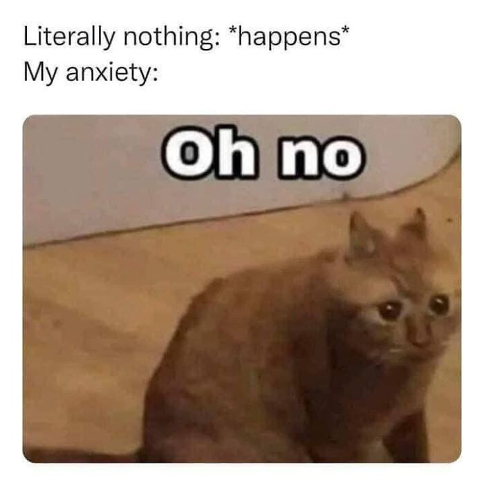 Anxious cat meme showing worry with caption oh no
