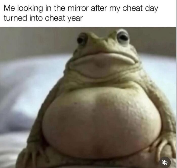 Funny meme with a large frog reflecting on cheat day turning into cheat year