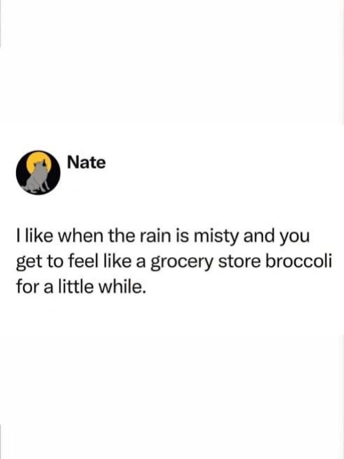 Humorous text meme about feeling like grocery store broccoli in misty rain