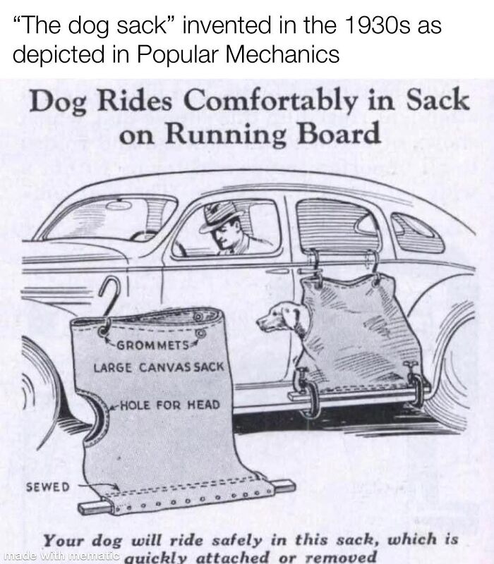 Vintage sketch of dog sack invention for safe dog rides on running board
