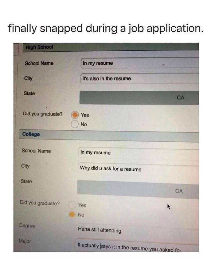 Screenshot of a sarcastic job application resume meme with funny responses