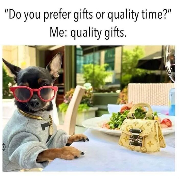 Dog wearing sunglasses with quality gifts caption random memes