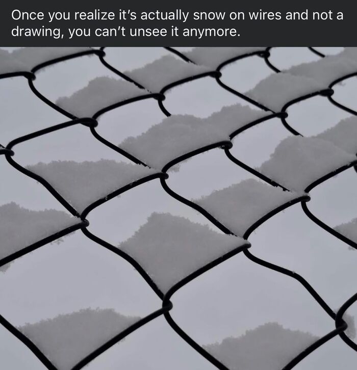 Snow on wire fence resembles a drawing random meme
