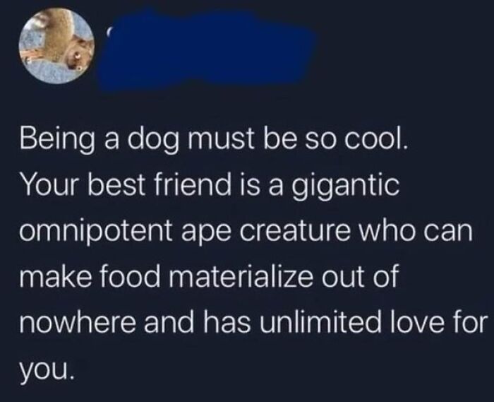 Random meme about the cool life of a dog and its omnipotent owner