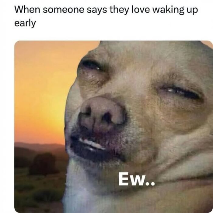 Funny random meme showing a dog reacting disgustedly to early waking