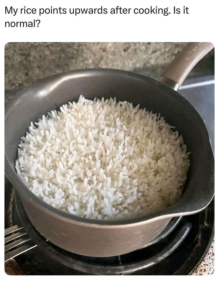Rice grains pointing upwards in pot after cooking normal rice meme random memes
